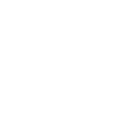 Turna AI Logosu